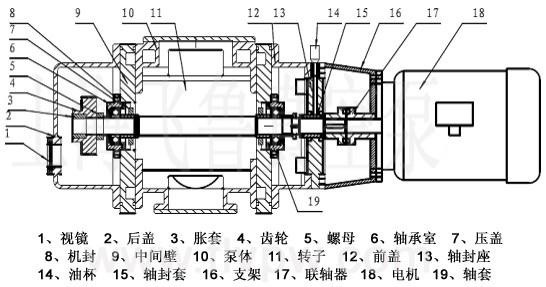 zjy型罗茨真空泵结构原理